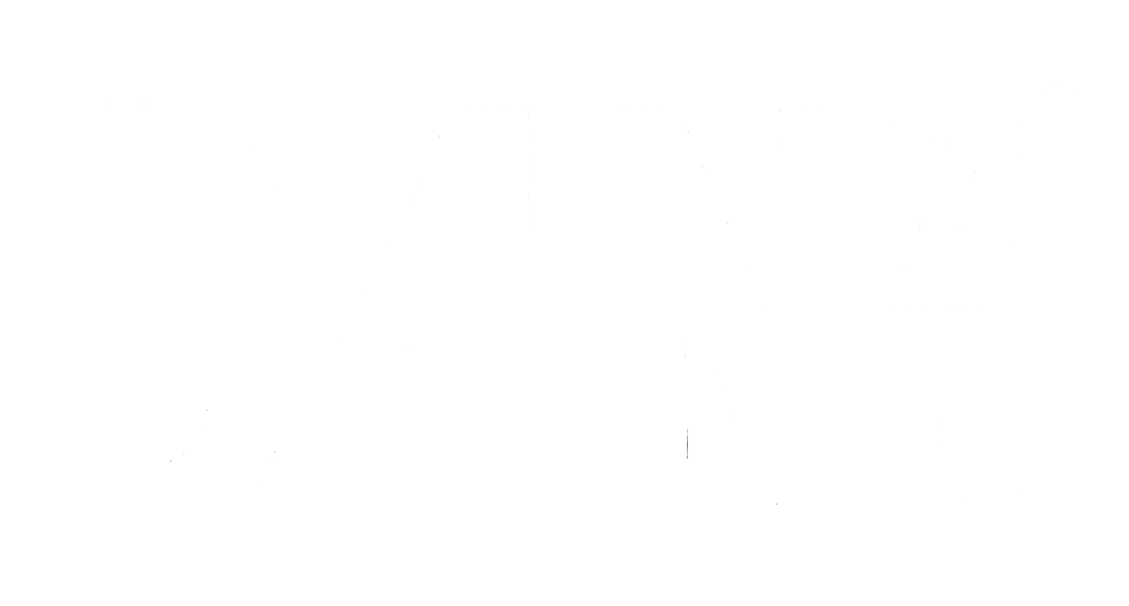 D4N Games